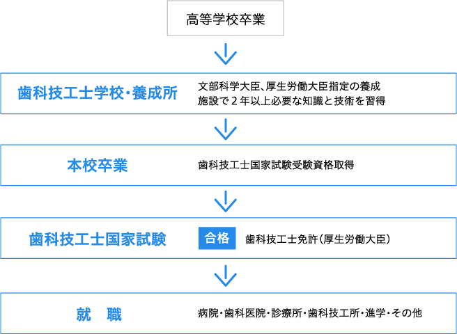 就職までの流れ