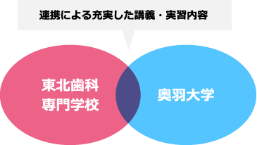 連携による充実した講義・実習内容